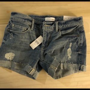 Loft distressed jean shorts 0 25